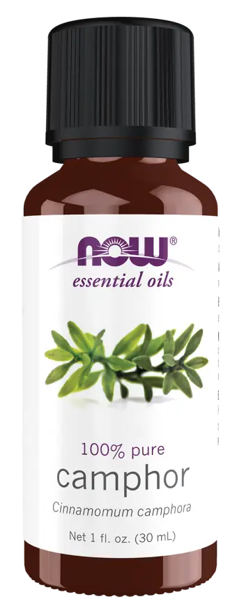 camphor essential oil front