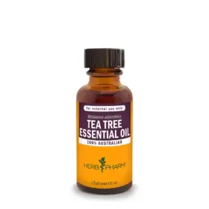 tea tree essential oil front