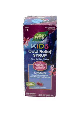 Nature_s Way Kids Cold Relief Syrup Front